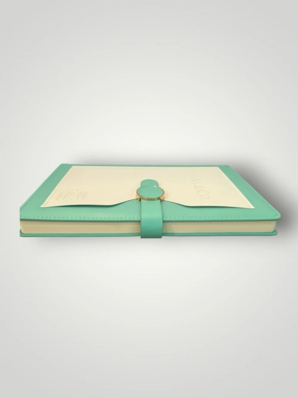 Source Unknown Teal and White Faux Leather Notebook with Gold Ring Closure